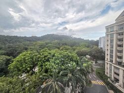 Symphony Heights (D21), Condominium #567792231